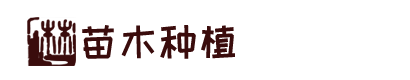 AG凯发K8国际