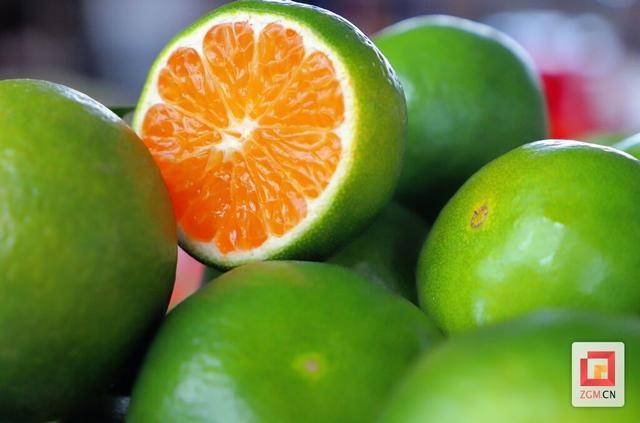 河口镇青皮蜜桔供不应求 打响荣县柑橘上市“第一枪”