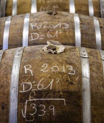 贺兰山下葡萄酒的40年深耕