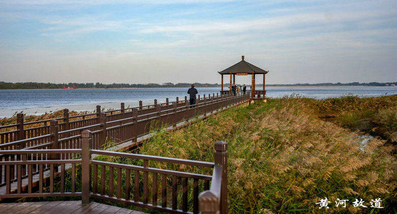 黄河故道今又是 天裕美酒助健康