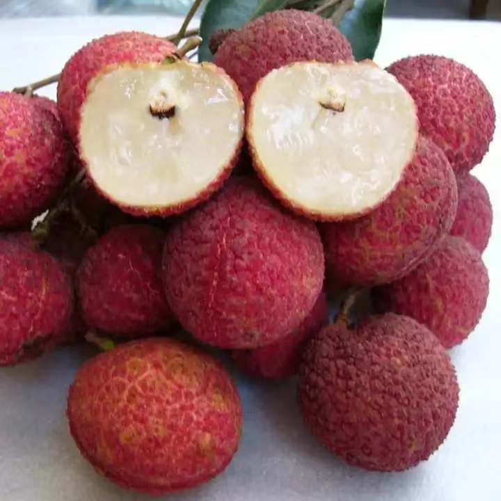 自贡富顺再添两张闪亮的“国字号”名片