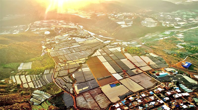 大麦地镇：干热河谷奏响产业发展新乐章